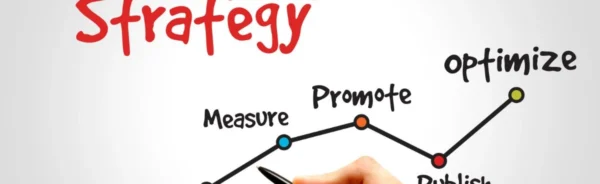 Wild Web Content Creation, Copy writing, Article writing, blog post articles