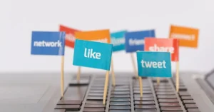Wild Web Social Media Management